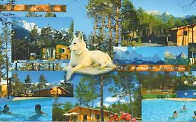 Parc Résidentiel de Loisir : Le Loup Blanc du Riou